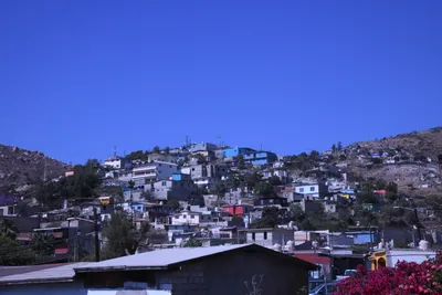 DSC_1094 (Large).JPG